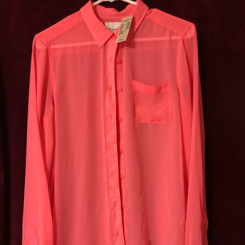 Sheer Blouse